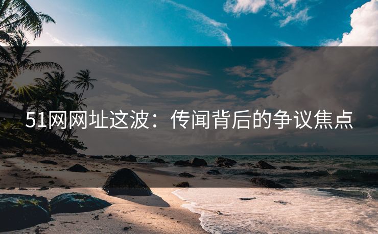 51网网址这波：传闻背后的争议焦点