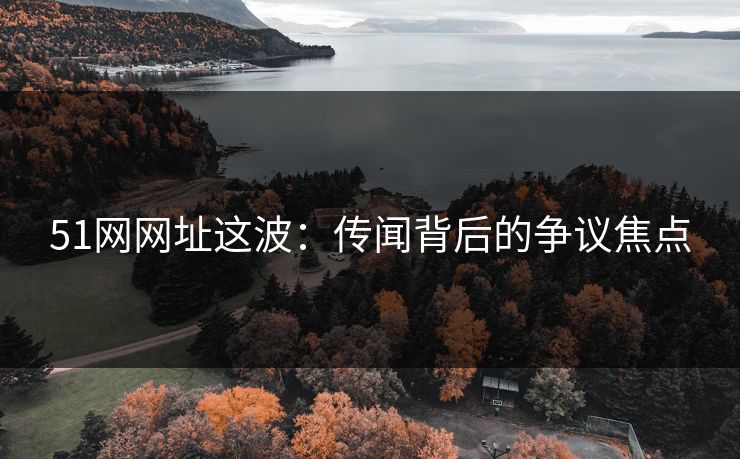 51网网址这波：传闻背后的争议焦点