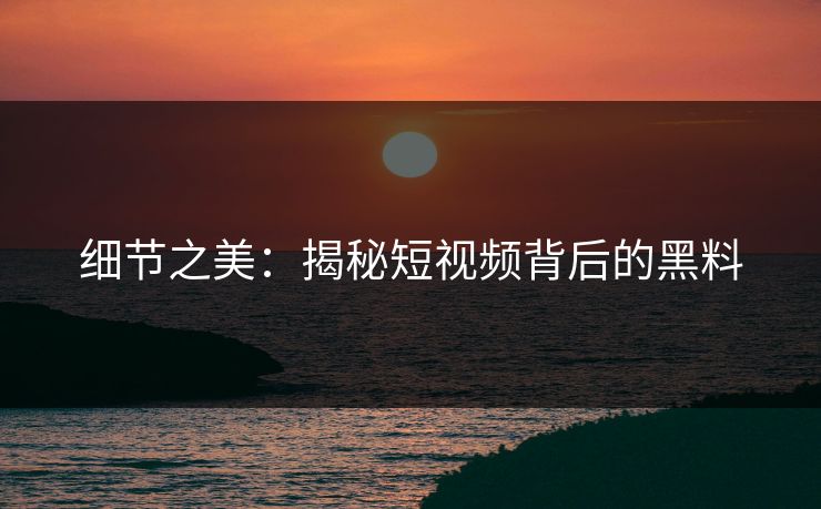 细节之美：揭秘短视频背后的黑料