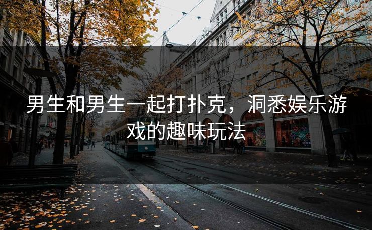 男生和男生一起打扑克,洞悉娱乐游戏的趣味玩法 男生和男生一起打扑克,洞悉娱乐游戏的趣味玩法