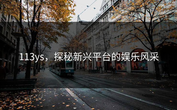 113ys,探秘新兴平台的娱乐风采 113ys,探秘新兴平台的娱乐风采