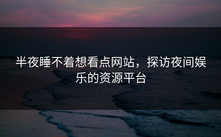 半夜睡不着想看点网站，探访夜间娱乐的资源平台