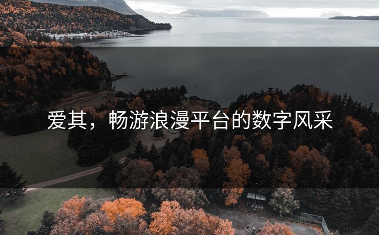 爱其,畅游浪漫平台的数字风采 爱其,畅游浪漫平台的数字风采