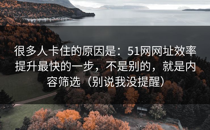 很多人卡住的原因是：51网网址效率提升最快的一步，不是别的，就是内容筛选（别说我没提醒）